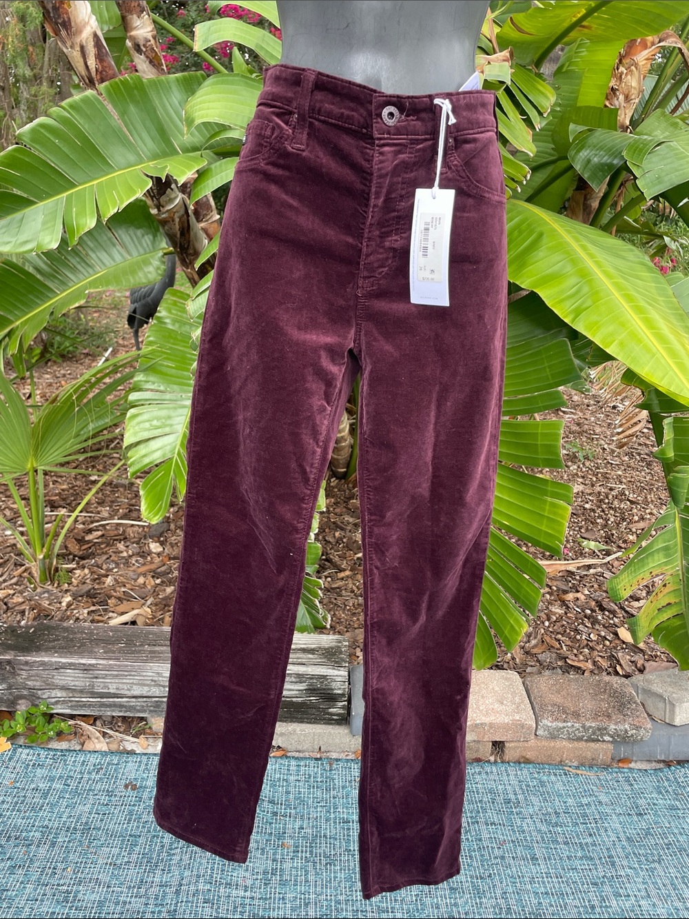 purple velvet mid rise, slim, straight jeans, style pants